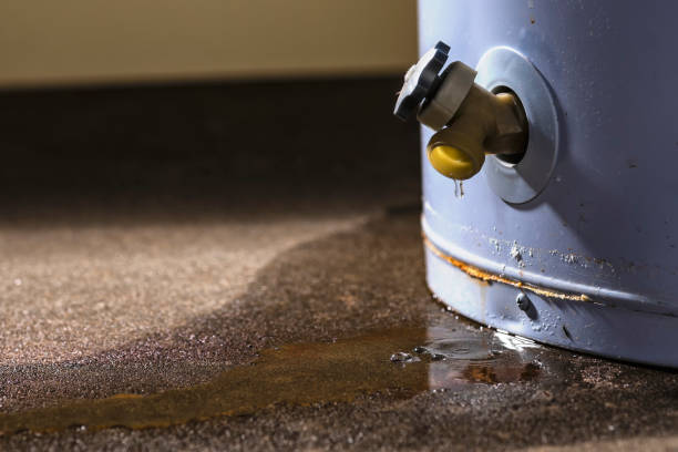 Best Flood restoration services  in Franklinville, NJ