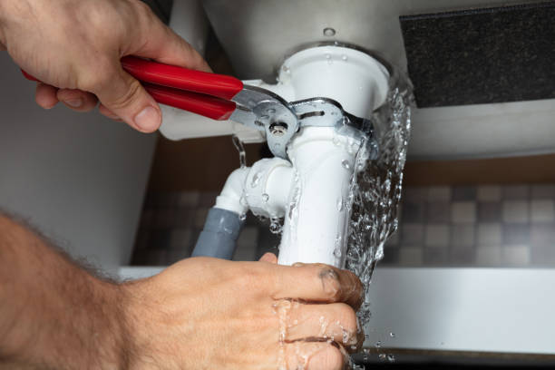 Best Water damage mitigation services  in Franklinville, NJ