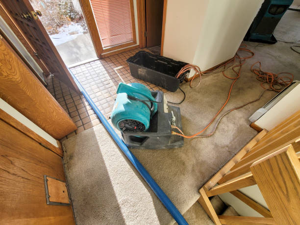 Best Flooded house restoration  in Franklinville, NJ