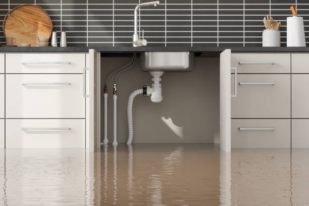 Best Professional water damage repair  in Franklinville, NJ