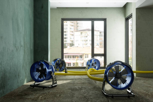 Best Emergency water damage restoration  in Franklinville, NJ