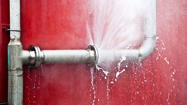Best Water damage restoration services  in Franklinville, NJ